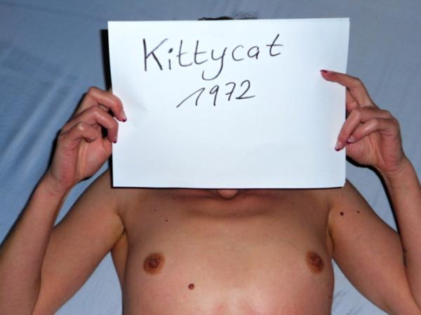 kittycat1972