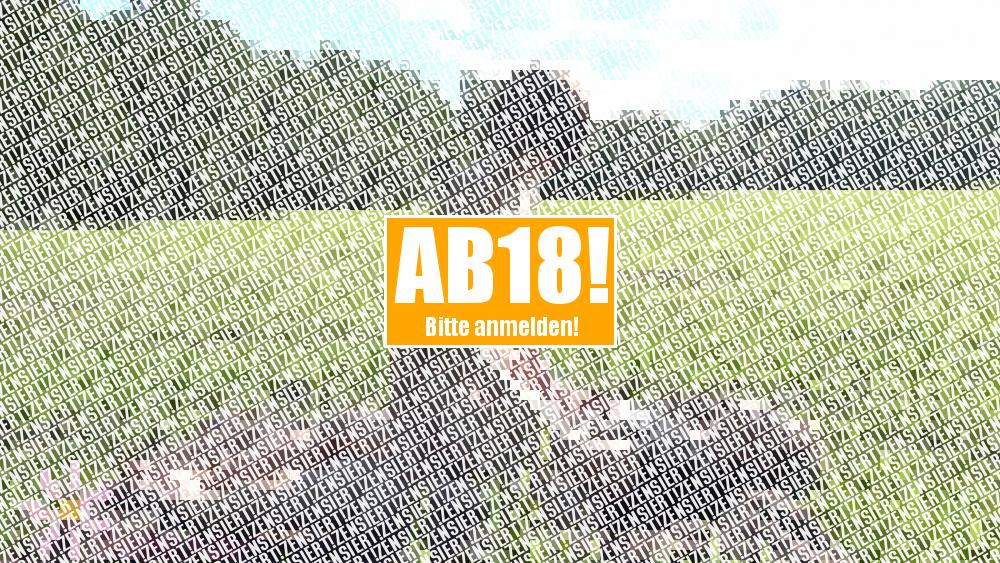 1. Public-Fick direkt neben der A8
