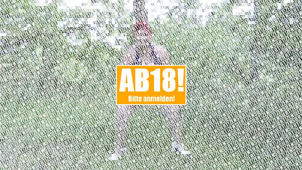 Der Versuch einer Reinigung  :-)