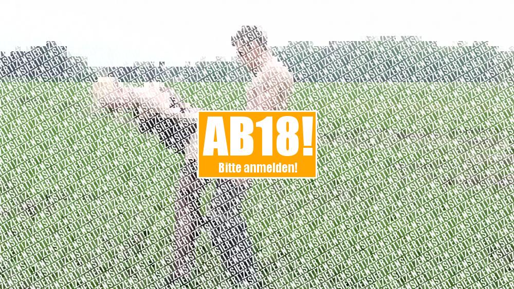 Geiler Fick im Grünen