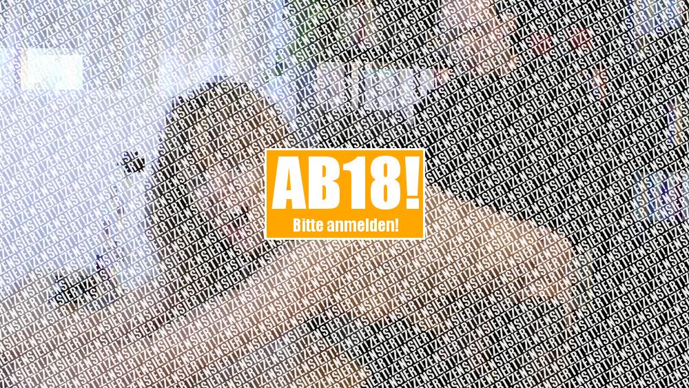 Der Arbeitsvermittler