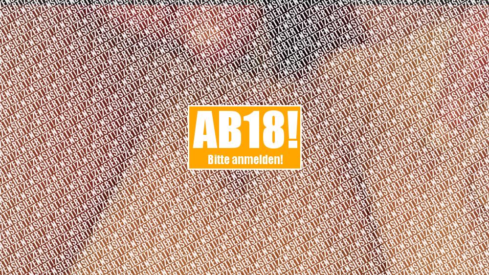 Kleiner Fick am Abend