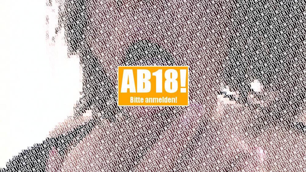 „In Aktion“ Teil 1 HD