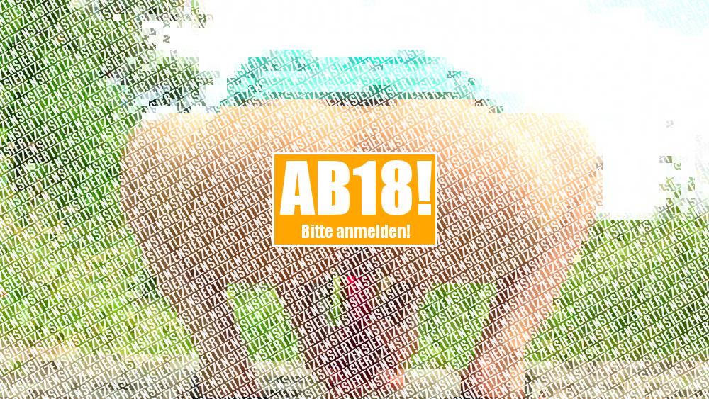 Die tägliche Fotzenstopfung outdoor!