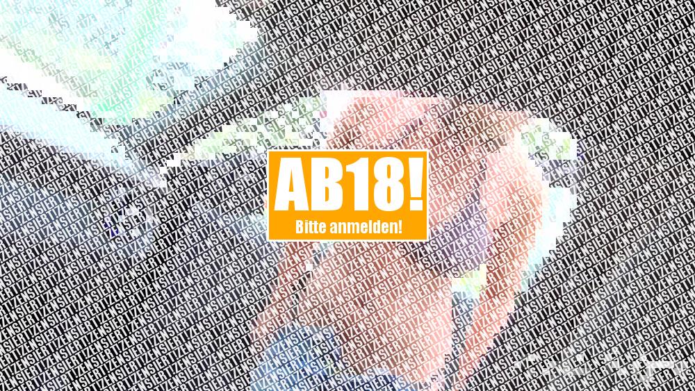 Berlins Autowascha​nlage auf Fickbarkei​t geprüft
