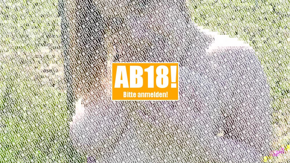 ACHTUNG Hochspannung !!