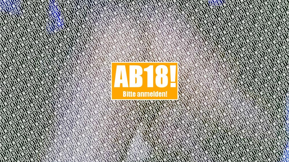 Abnutzschlampe