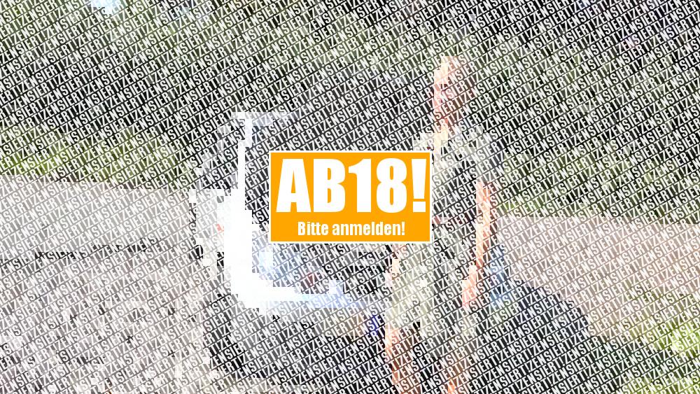 AUTOPANNE!!! Nen Fick als Belohnung!
