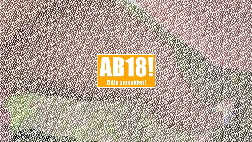 Autohändler um Rabatt gebe… gefickt!