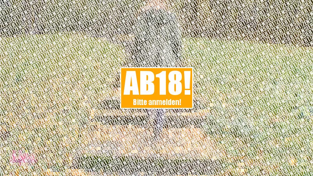 Public-Pissen an der A1