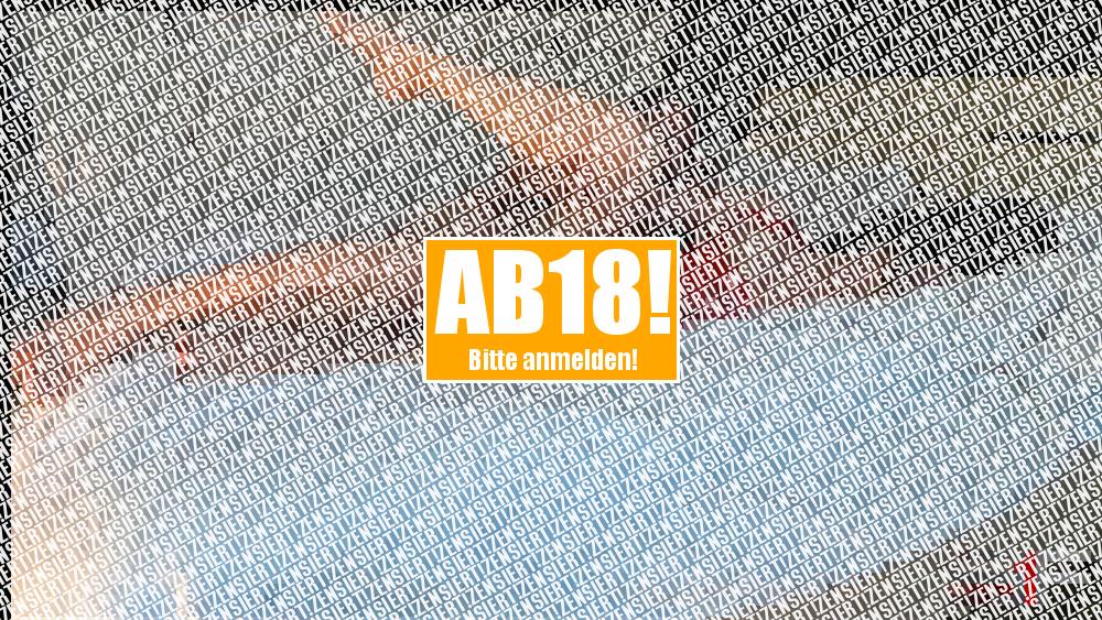 auf dem Bett gefickt