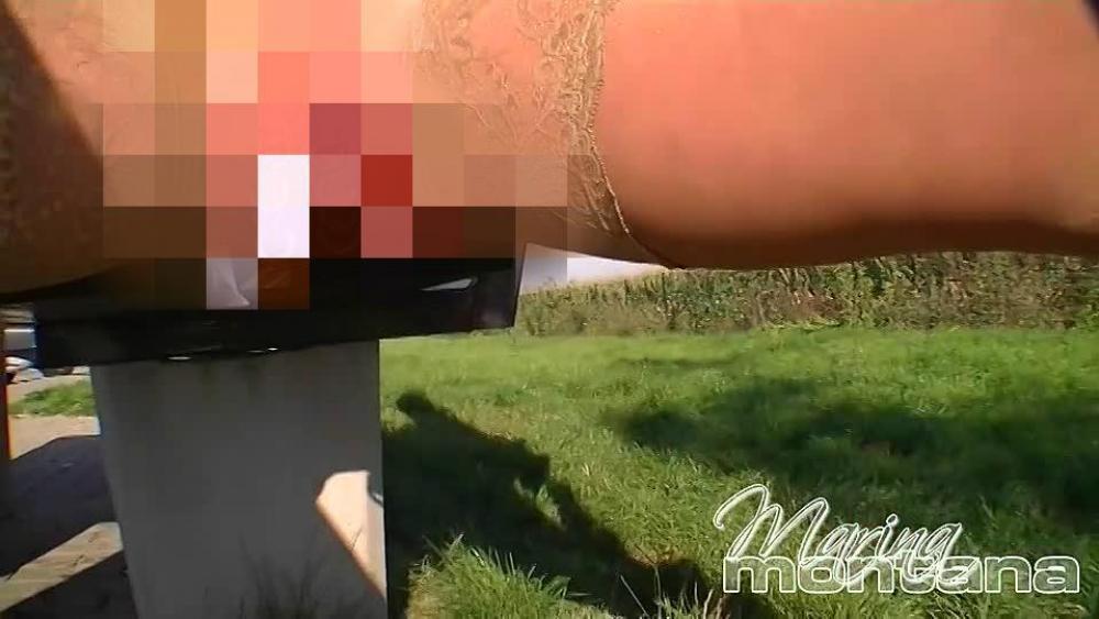 fotzen makro bei sonnenschein