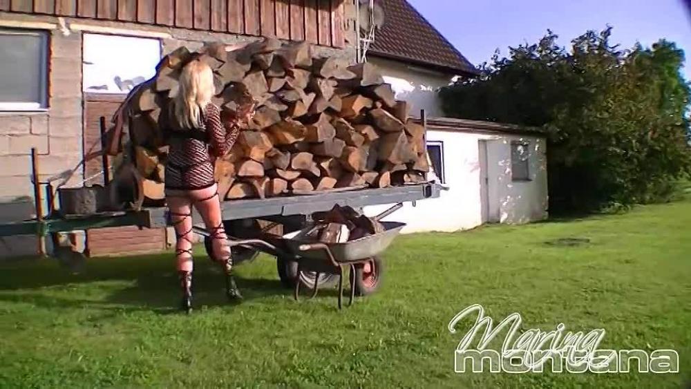 des bauer´s freifickstute