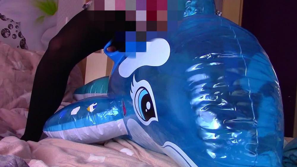 Delfin platt gemacht und NS gegeben