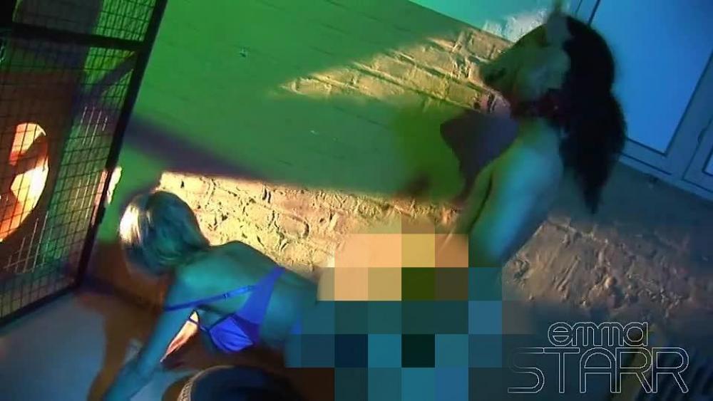krass- von der spermasau gefickt!
