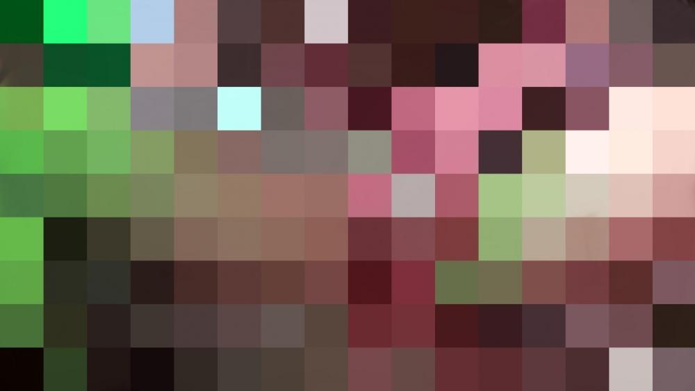 überall lecken die fotzen das fremdsperma auf