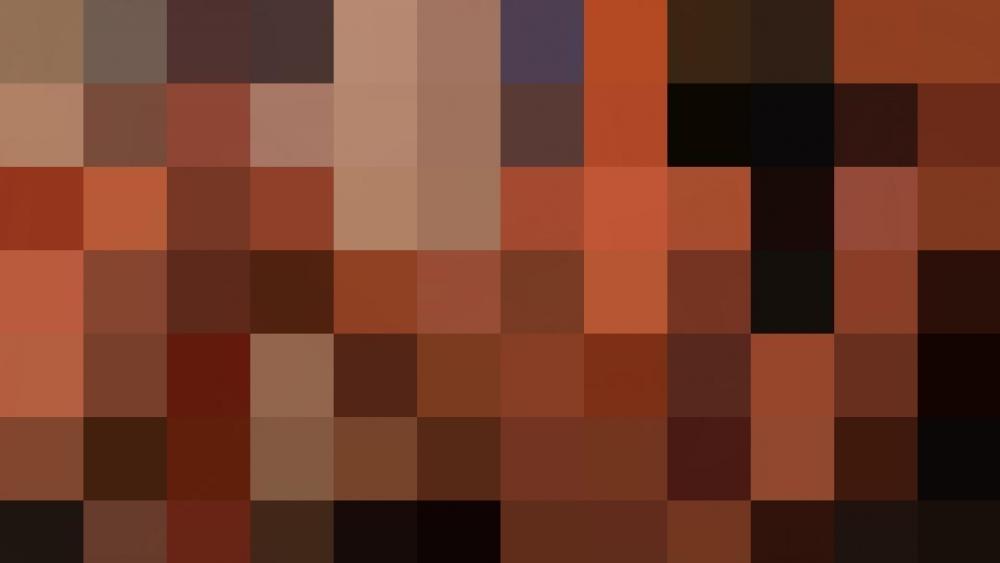 fäuste und dildos für die fotzen
