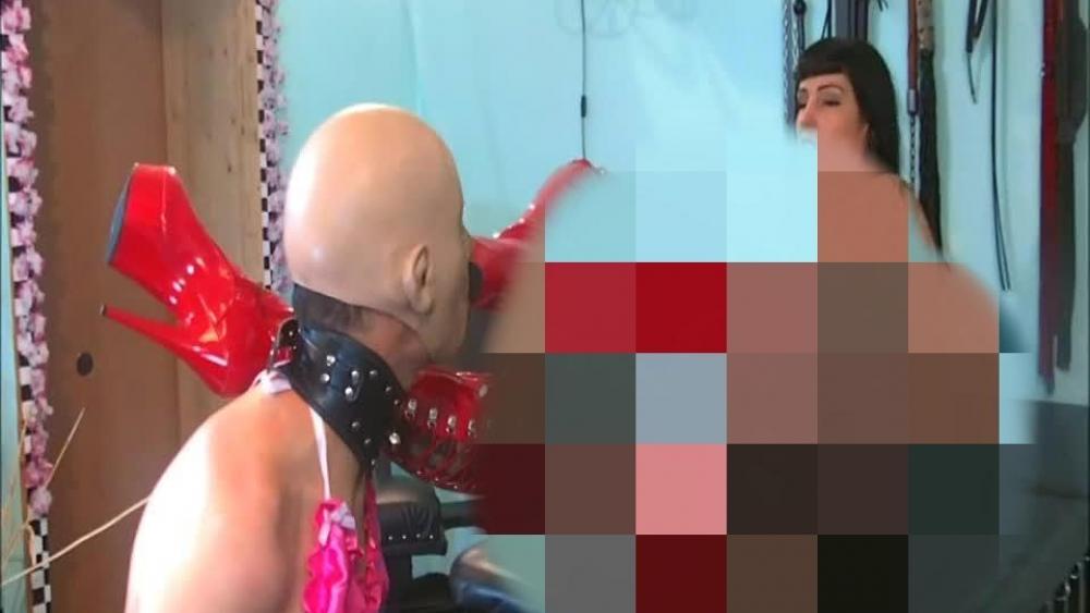 Sklaven für Domina Lady Vampira Teil 3 – Strumpfhosen Dominanz und Arschverehrung