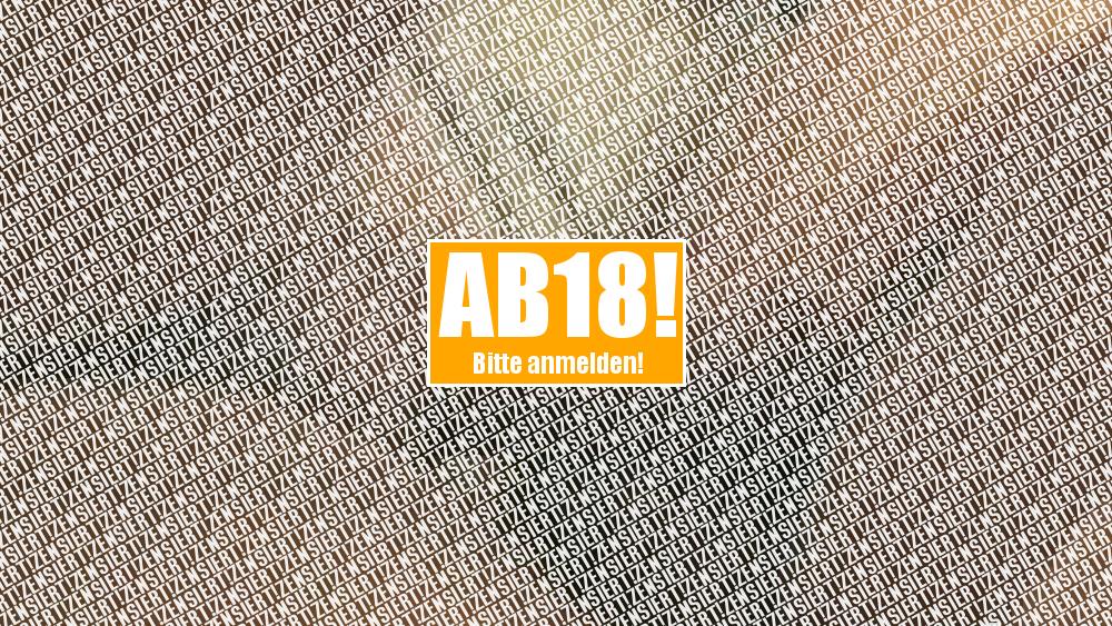 Geschäftsreise 1 Tag  – Tagebuch –