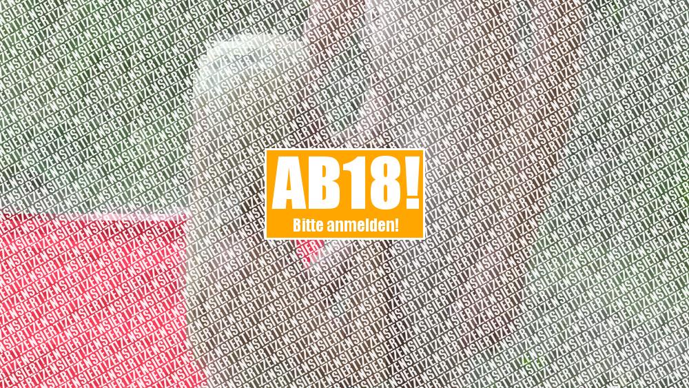 Kurzer Blowjob für User