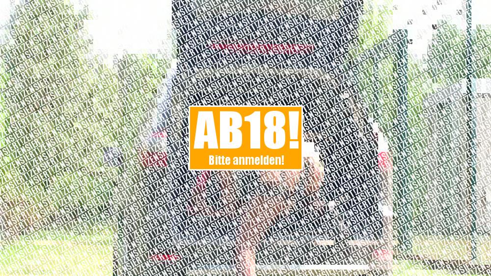 Analplug im Auto