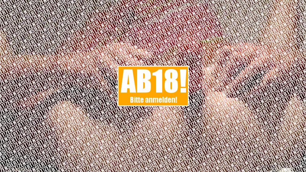 Geht Der Vibi auch Ganz Rein?