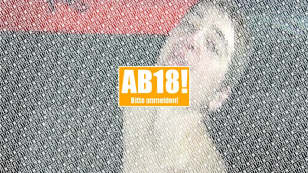 Geiler Blowjob