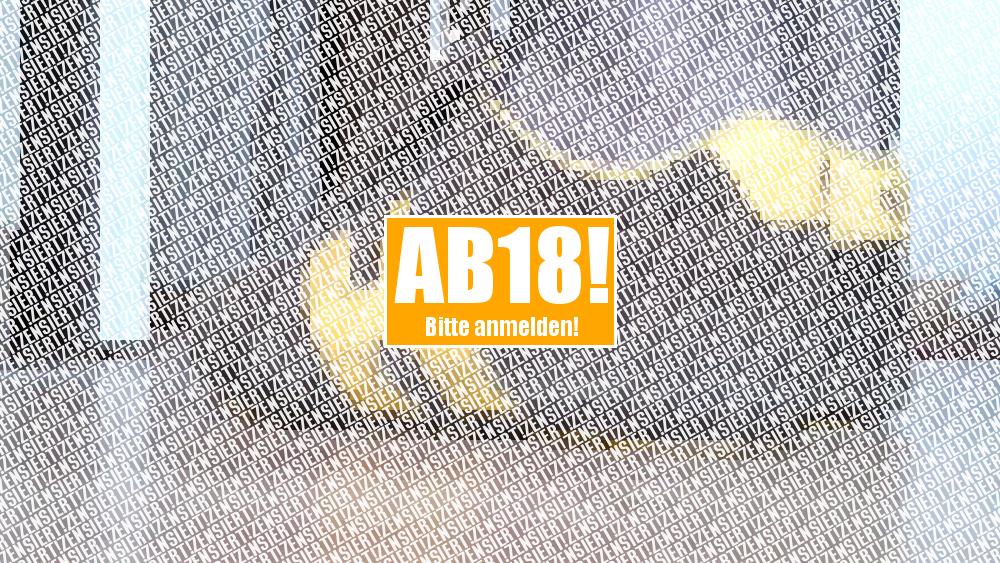 FAN Artikel 04 – Präsentation Sneaker